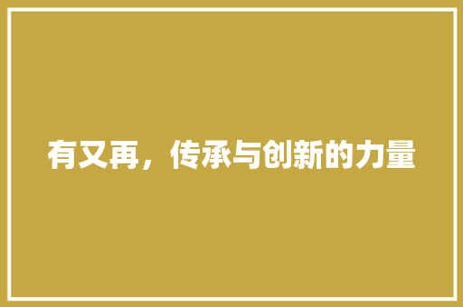 有又再，传承与创新的力量
