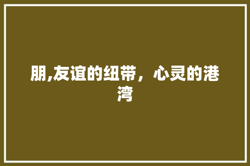朋,友谊的纽带，心灵的港湾 项目报告
