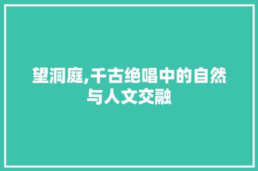 望洞庭,千古绝唱中的自然与人文交融 工作总结