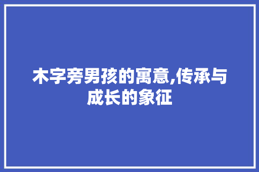 木字旁男孩的寓意,传承与成长的象征