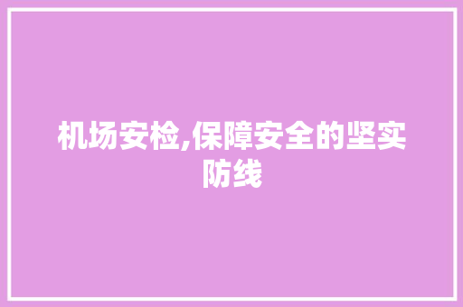 机场安检,保障安全的坚实防线