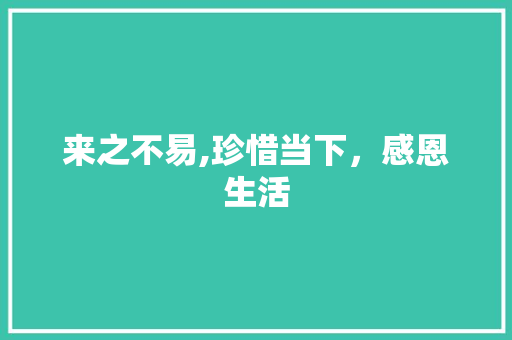 来之不易,珍惜当下，感恩生活