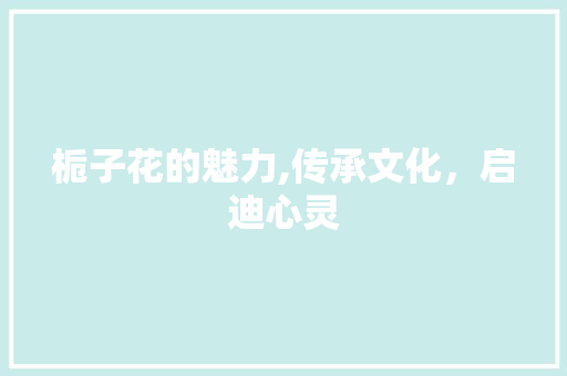栀子花的魅力,传承文化，启迪心灵