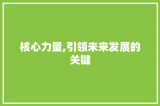 核心力量,引领未来发展的关键
