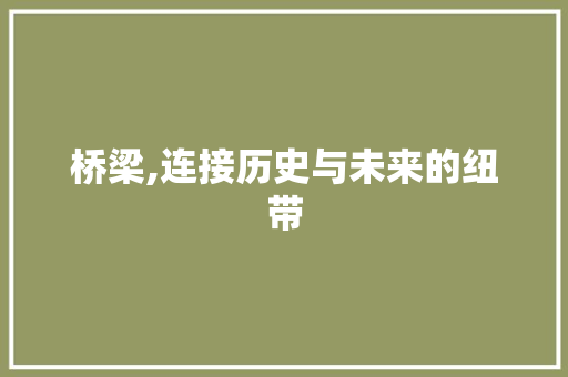 桥梁,连接历史与未来的纽带