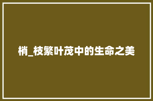 梢_枝繁叶茂中的生命之美