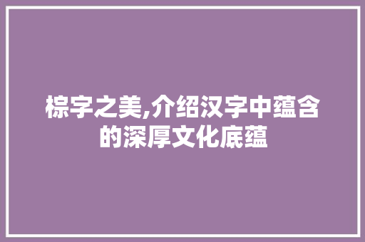 棕字之美,介绍汉字中蕴含的深厚文化底蕴
