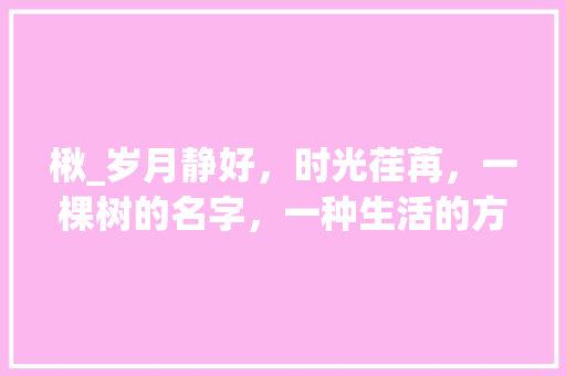 楸_岁月静好，时光荏苒，一棵树的名字，一种生活的方法 诗词体裁
