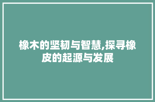 橡木的坚韧与智慧,探寻橡皮的起源与发展