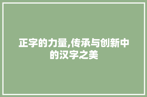 正字的力量,传承与创新中的汉字之美