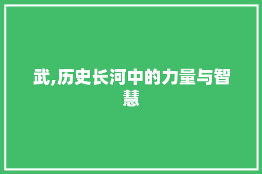 武,历史长河中的力量与智慧