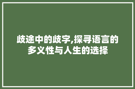 歧途中的歧字,探寻语言的多义性与人生的选择