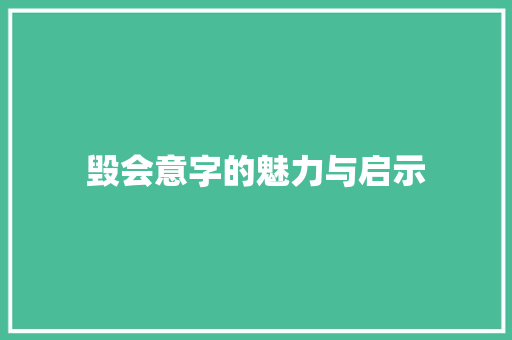 毁会意字的魅力与启示