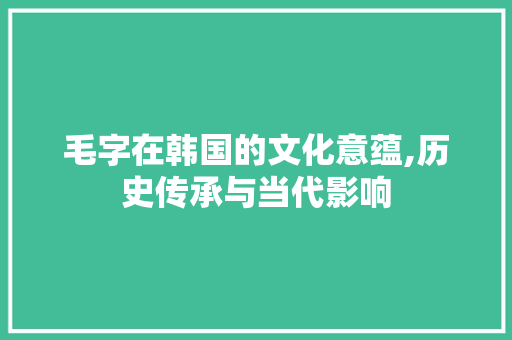 毛字在韩国的文化意蕴,历史传承与当代影响