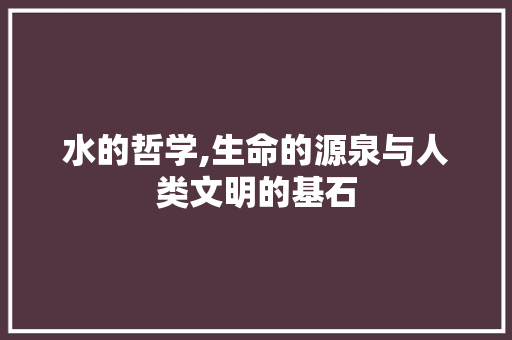 水的哲学,生命的源泉与人类文明的基石