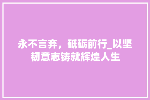 永不言弃，砥砺前行_以坚韧意志铸就辉煌人生