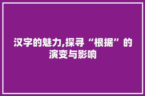 汉字的魅力,探寻“根据”的演变与影响