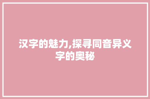 汉字的魅力,探寻同音异义字的奥秘