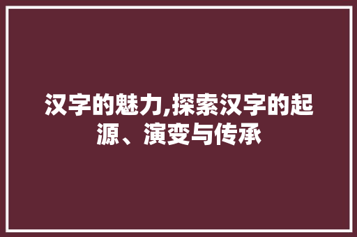 汉字的魅力,探索汉字的起源、演变与传承