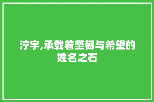 泞字,承载着坚韧与希望的姓名之石