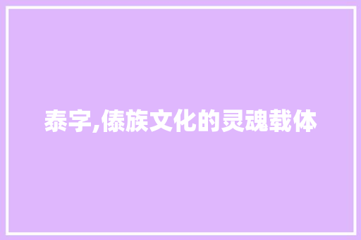 泰字,傣族文化的灵魂载体