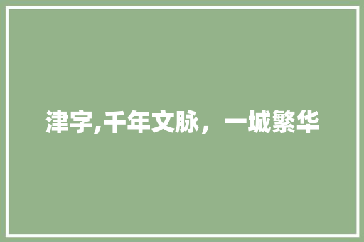 津字,千年文脉，一城繁华 会议纪要
