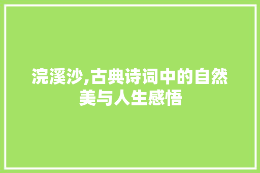 浣溪沙,古典诗词中的自然美与人生感悟