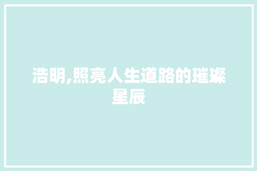 浩明,照亮人生道路的璀璨星辰