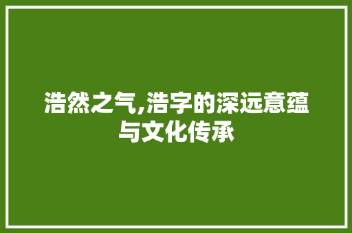 浩然之气,浩字的深远意蕴与文化传承