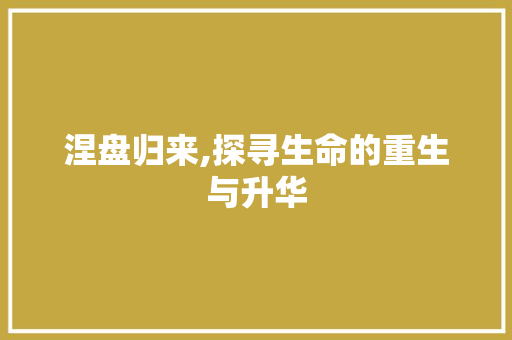 涅盘归来,探寻生命的重生与升华