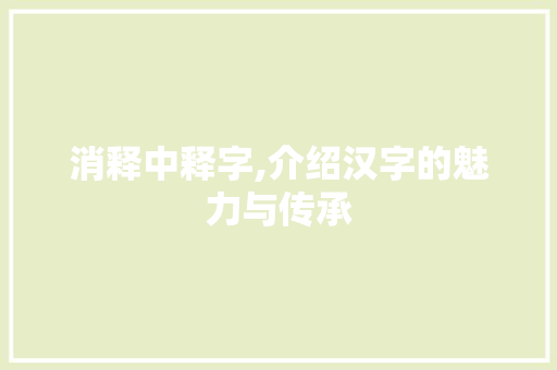 消释中释字,介绍汉字的魅力与传承 职场写作