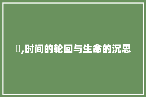 涒,时间的轮回与生命的沉思