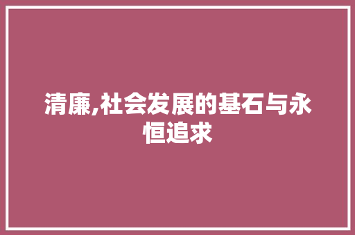 清廉,社会发展的基石与永恒追求