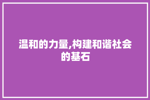 温和的力量,构建和谐社会的基石