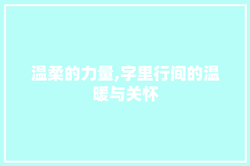 温柔的力量,字里行间的温暖与关怀