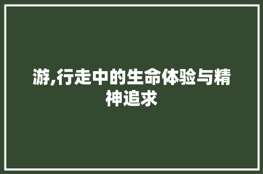 游,行走中的生命体验与精神追求