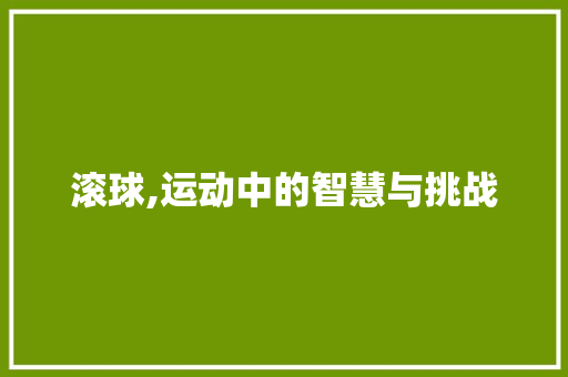 滚球,运动中的智慧与挑战