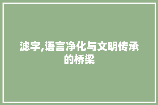 滤字,语言净化与文明传承的桥梁