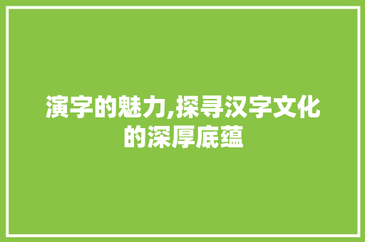 演字的魅力,探寻汉字文化的深厚底蕴