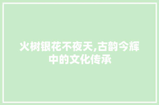 火树银花不夜天,古韵今辉中的文化传承