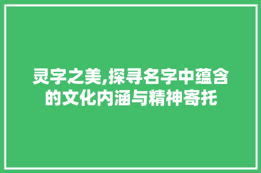 灵字之美,探寻名字中蕴含的文化内涵与精神寄托