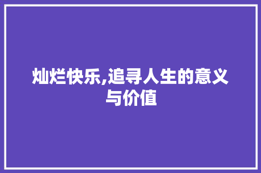 灿烂快乐,追寻人生的意义与价值