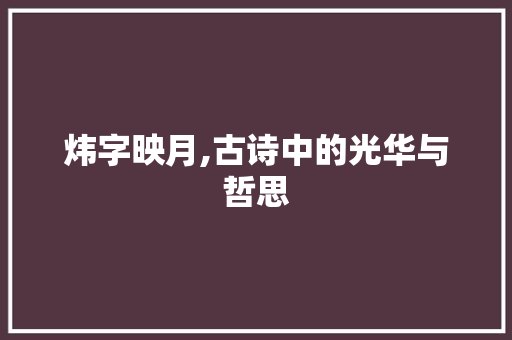 炜字映月,古诗中的光华与哲思