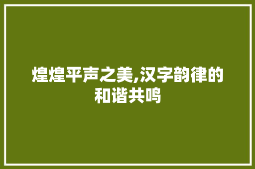 煌煌平声之美,汉字韵律的和谐共鸣