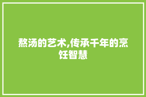 熬汤的艺术,传承千年的烹饪智慧