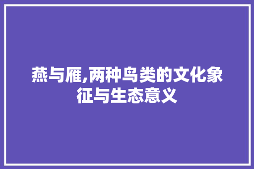 燕与雁,两种鸟类的文化象征与生态意义