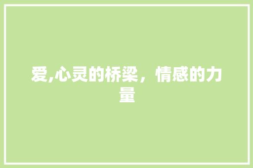 爱,心灵的桥梁，情感的力量