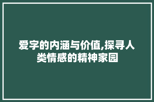 爱字的内涵与价值,探寻人类情感的精神家园