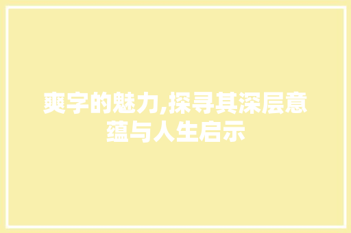 爽字的魅力,探寻其深层意蕴与人生启示