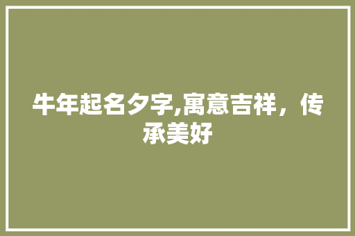 牛年起名夕字,寓意吉祥，传承美好 诗词体裁